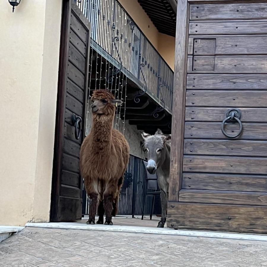 Borgo Incantato Spoleto Pompagnano Buitenkant foto